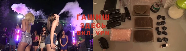 индика Белокуриха