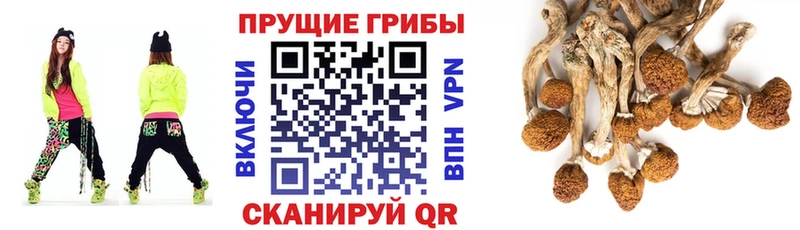 даркнет сайт  Белогорск  Галлюциногенные грибы Cubensis 
